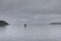 featured image thumbnail for post Types of Shanties